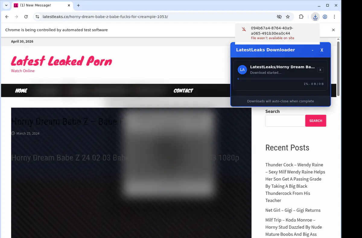 Latestleaks Video Downloader screenshot 2