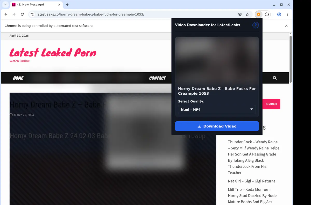 Latestleaks Video Downloader screenshot 3